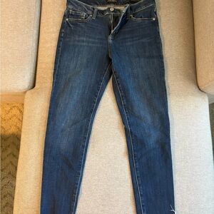Banana Republic Dark Blue Skinny Jeans